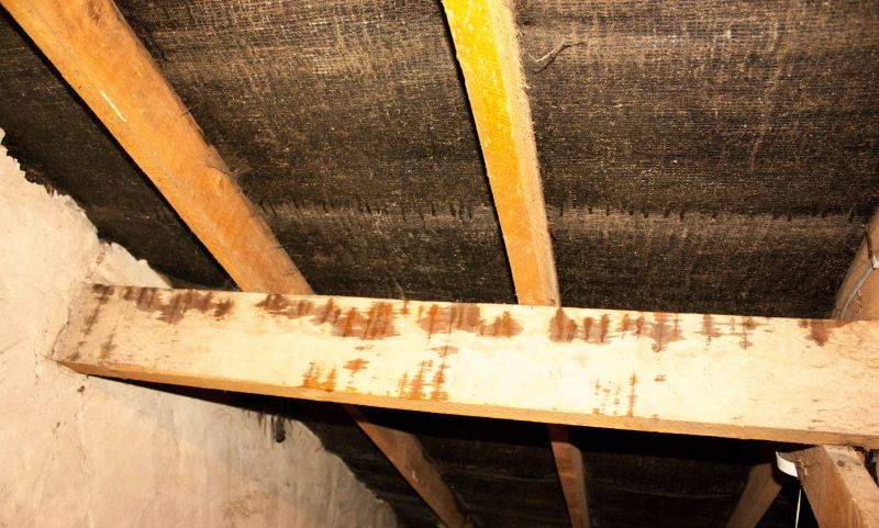 Inside Attic Inspection