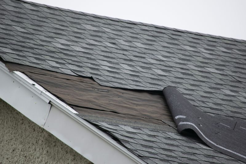 Shingle Damage