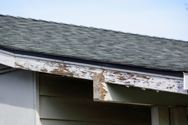 Edge and Eave Repair