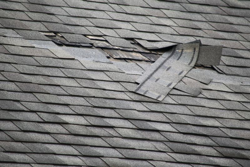 Roof Material Quality